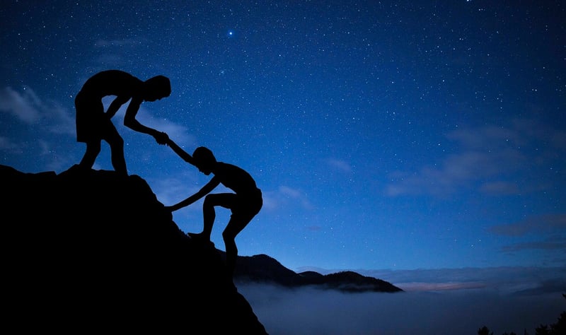 Mentorship Program